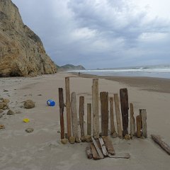 GirlsWildCat 059 : GirlsWildCat